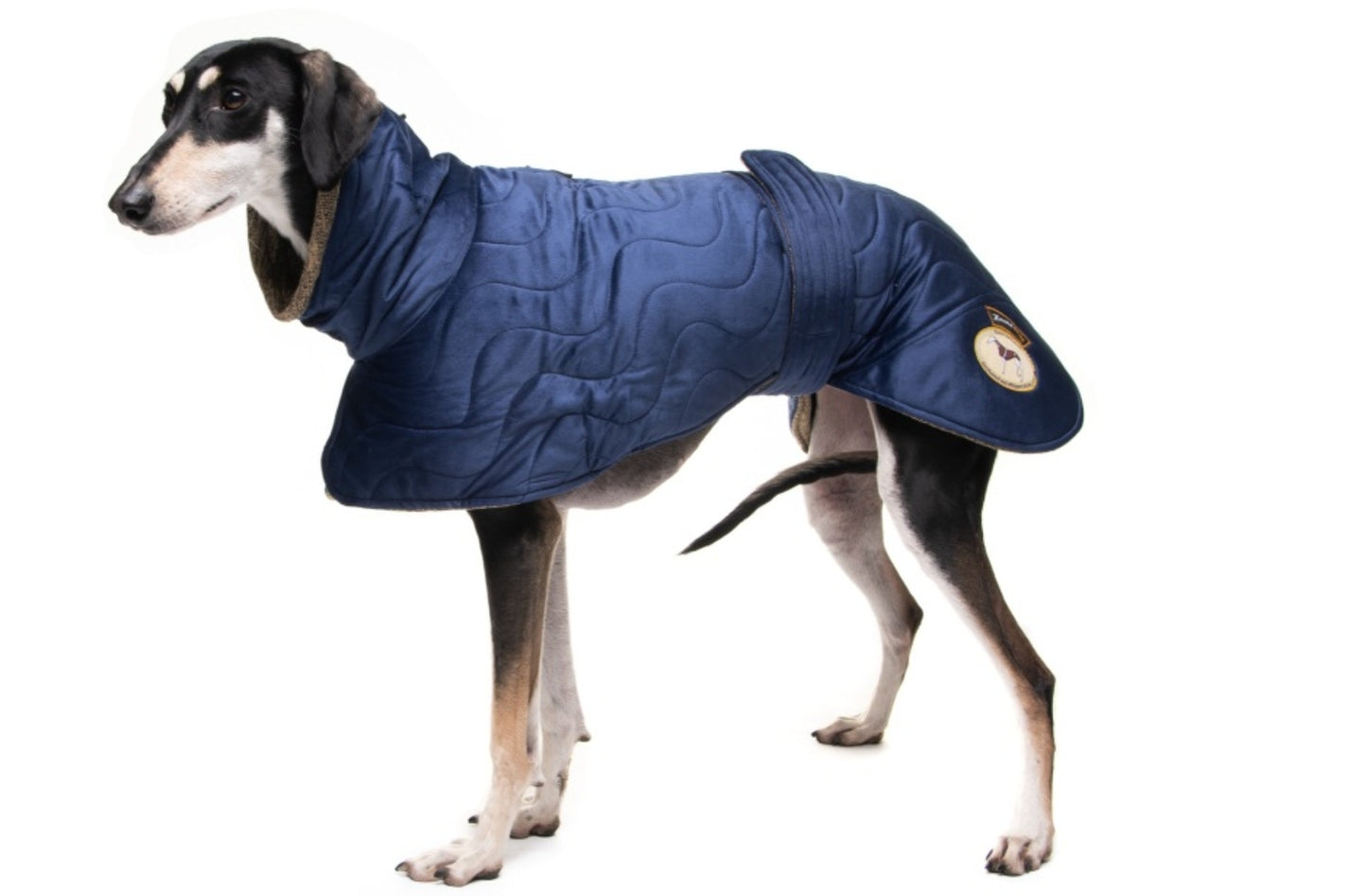 Sapphire velvet knit jacket for greyhounds - the luxury regal collection