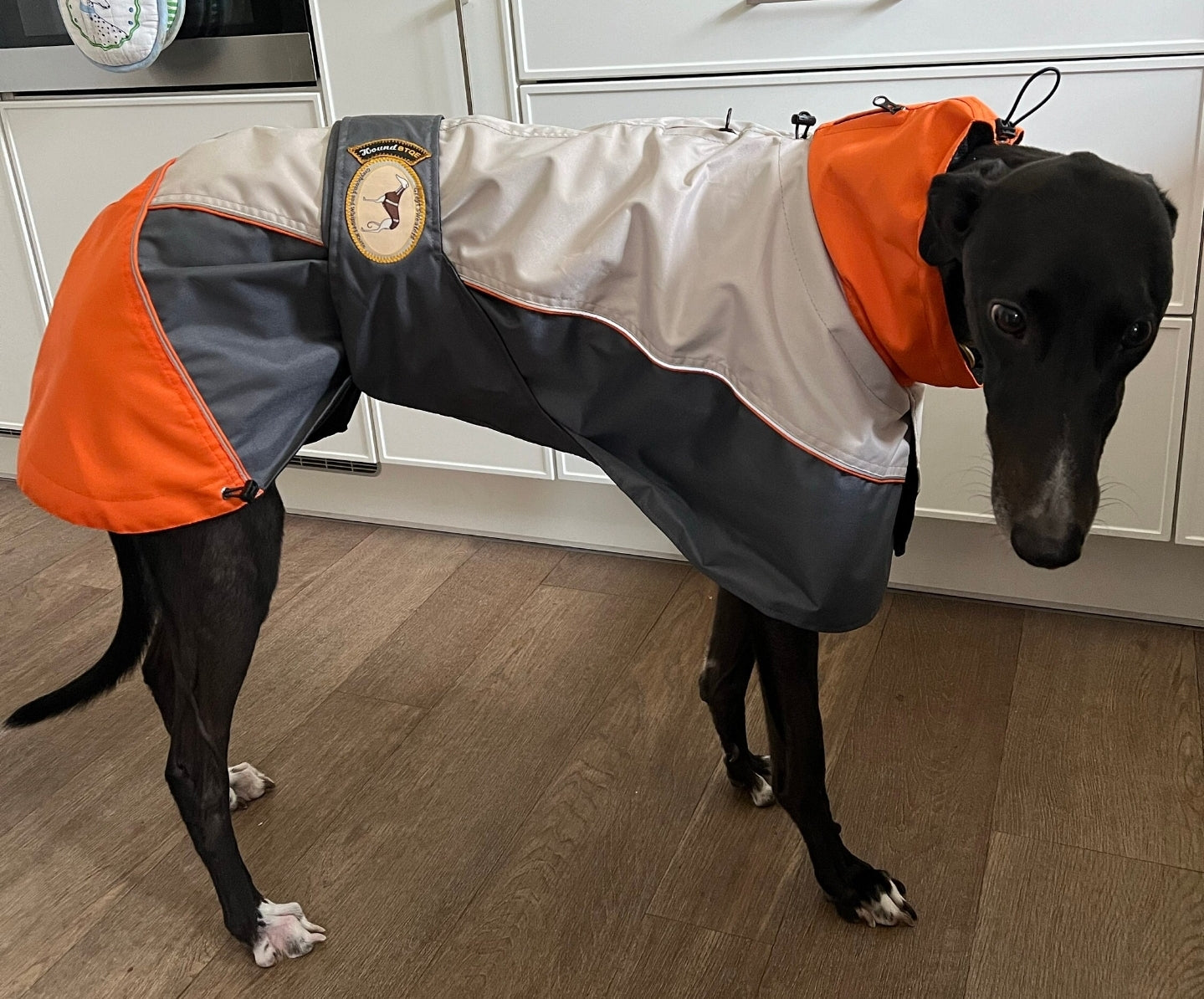 Rain coat for whippets, grey/orange - the waterproof rain coat collection