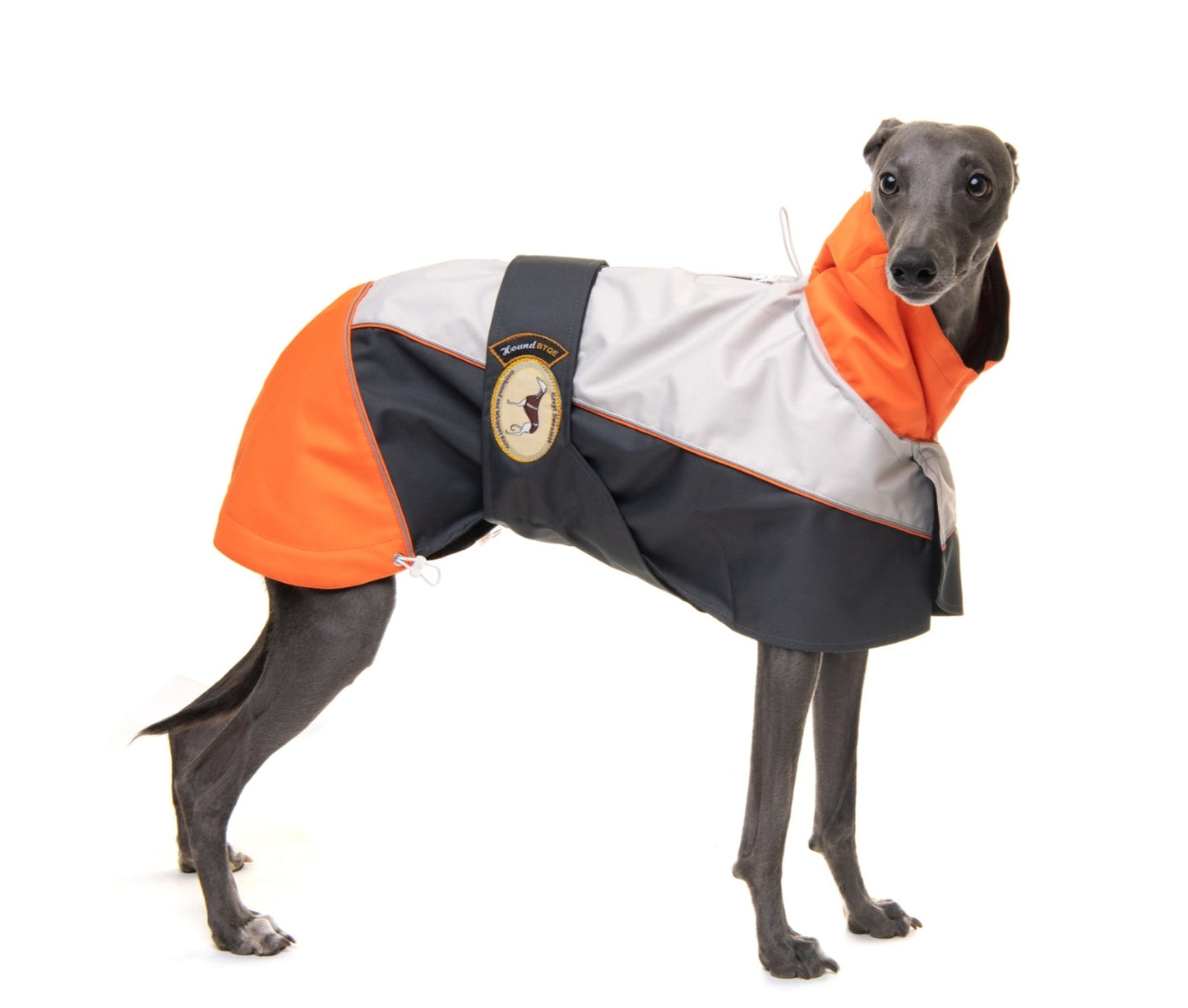 Rain coat for whippets, grey/orange - the waterproof rain coat collection