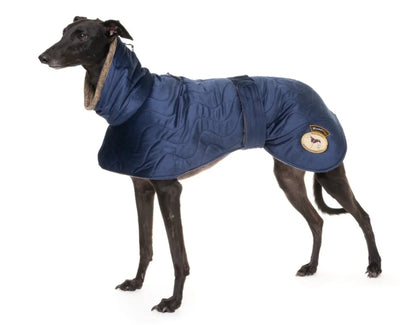 Sapphire velvet knit jacket for whippets - the luxury regal collection