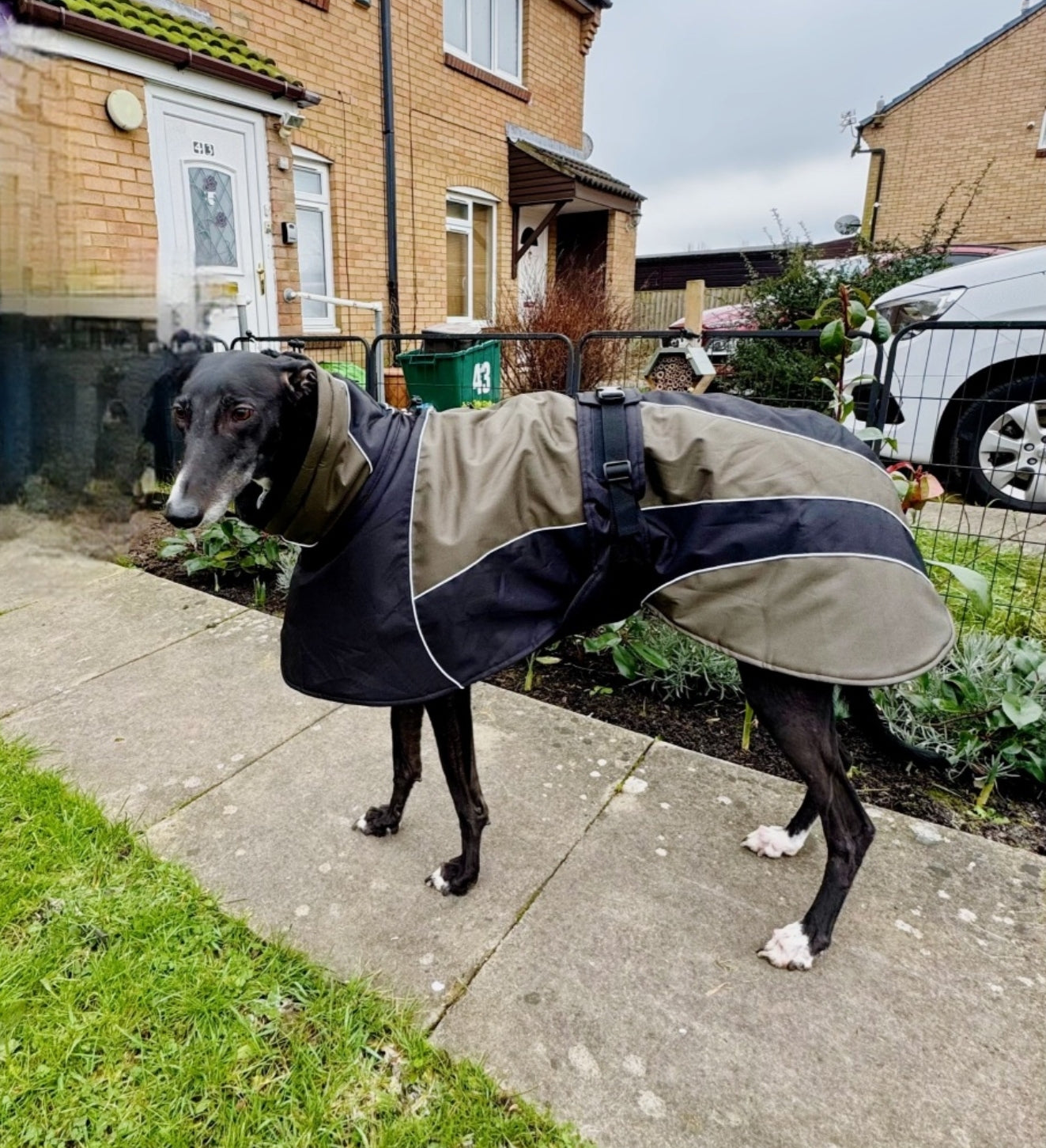 Waterproof Padded Luxury Jacket; Black/Khaki for Whippets - the luxury winter jacket collection