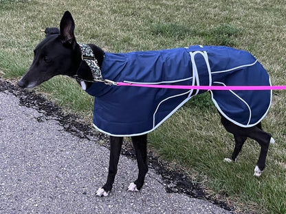 Navy Blue Rain Mac for Whippets - the waterproof rain mac collection