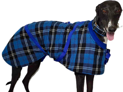 Blue/Black Checked Twill Coat & matching Martingale Collar for Greyhounds - the lighter layer collection