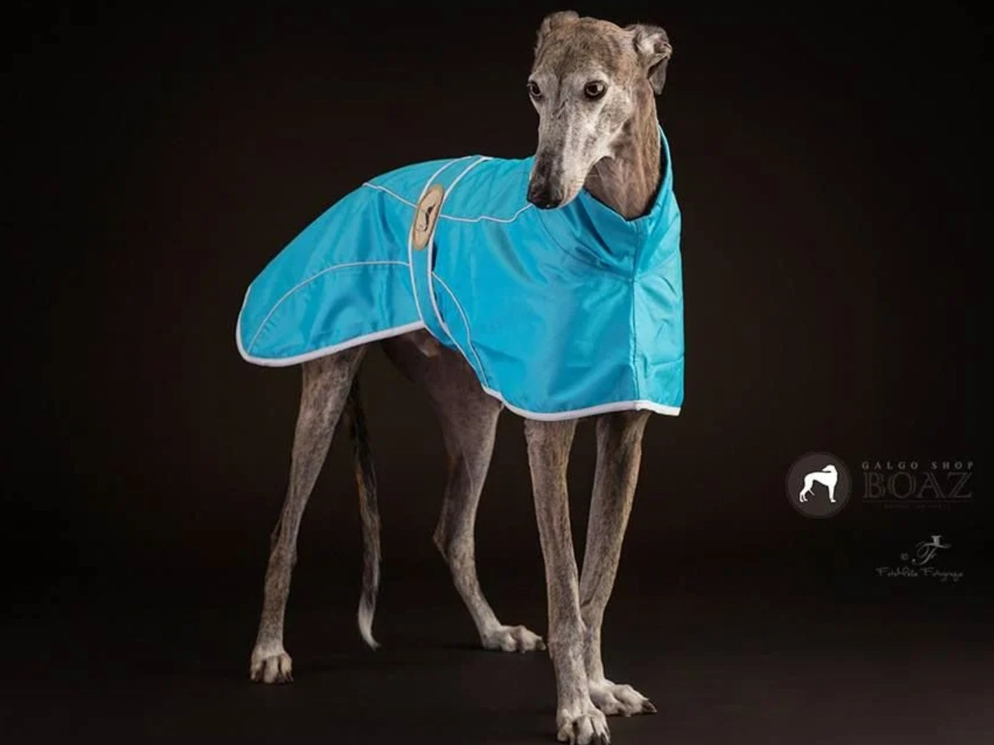 Ferozi Rain Mac for Greyhounds - the waterproof rain mac collection