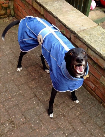 Stonewashed, Faded Blue Denim House Coat for Whippets + Greyhounds - the denim collection