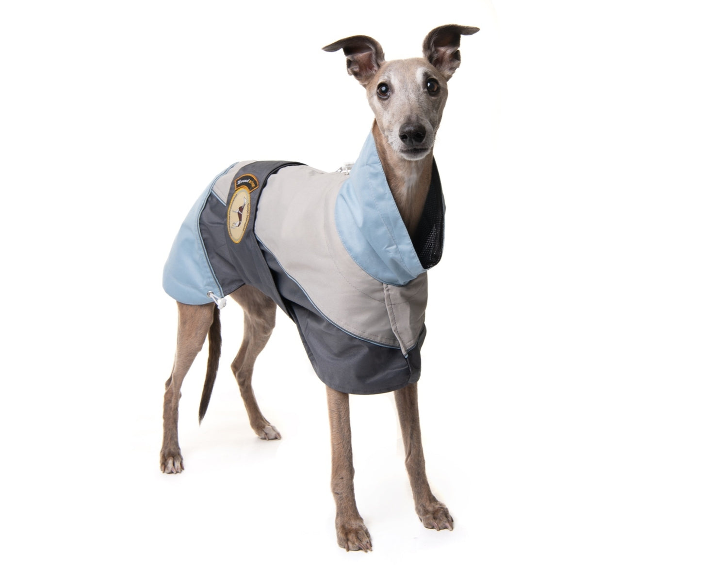 Waterproof rain coat for greyhounds, grey/powder blue - the waterproof rain coat collection