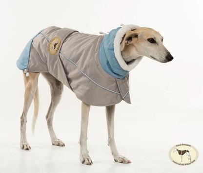 Waterproof Padded Luxury Jacket for whippets sky blue/grey- the luxury winter jacket collection