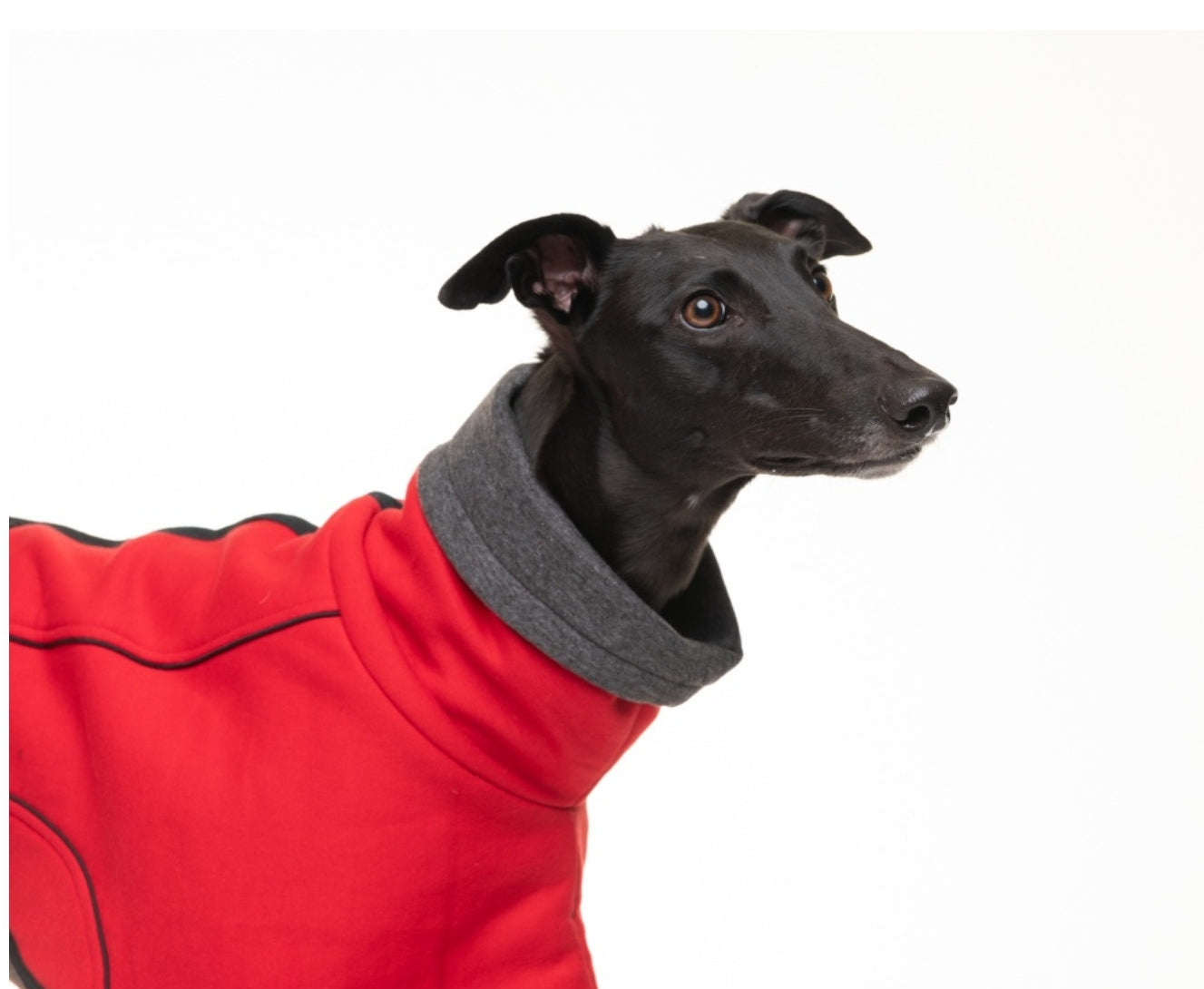 Scarlet Red Jersey Fleece for Greyhounds and whippets - the jersey housecoat collection