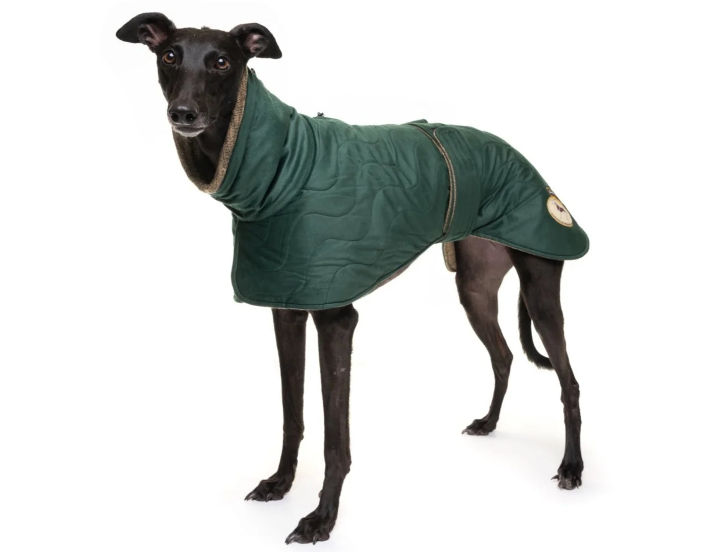 Emerald velvet knit jackets for whippets - the luxury regal collection