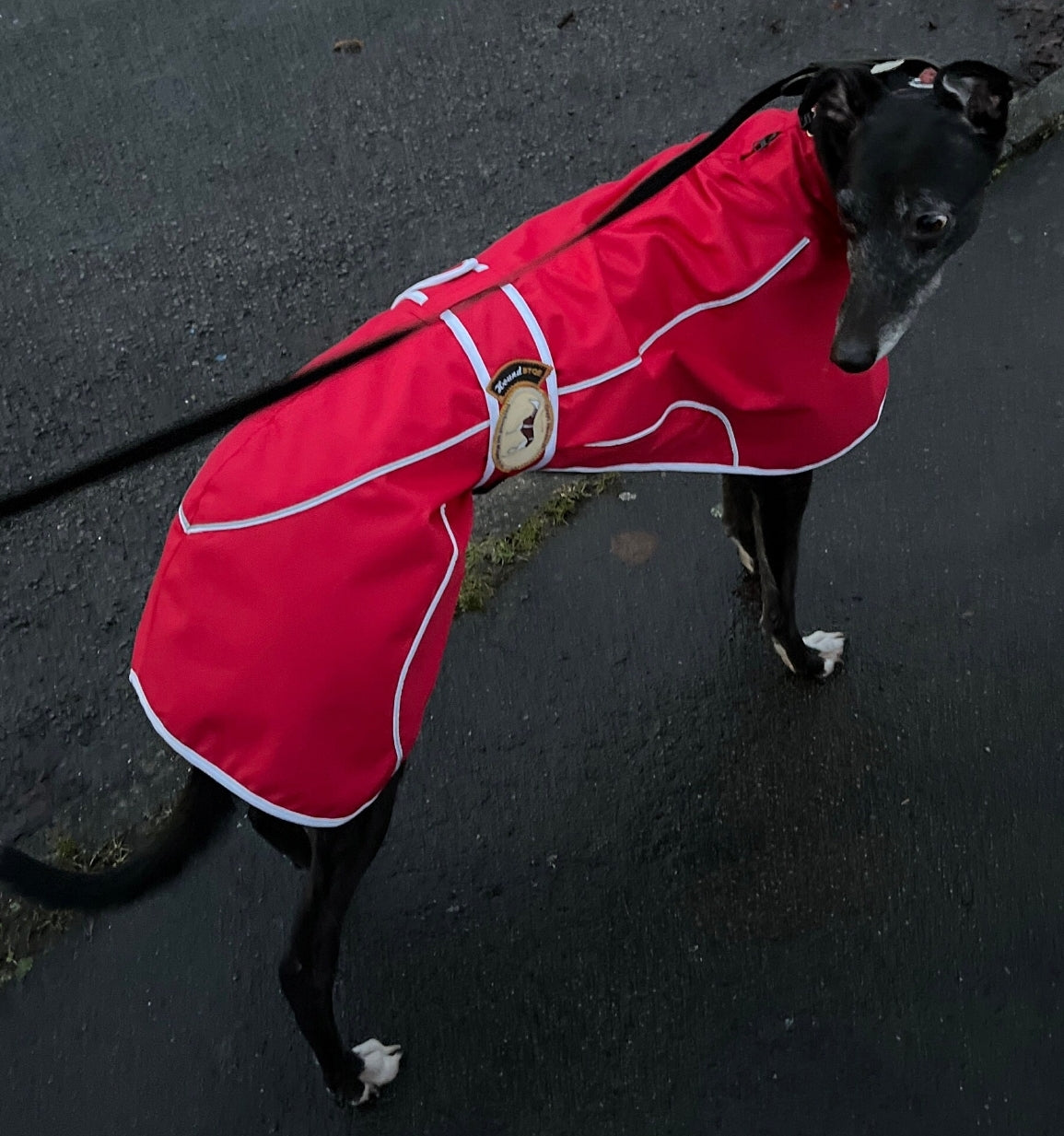 Crimson Red Rain Mac for Whippets - the waterproof rain mac collection