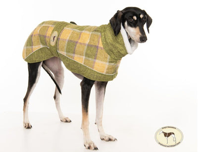 Willow tweed coat for whippets - the luxury tweed collection