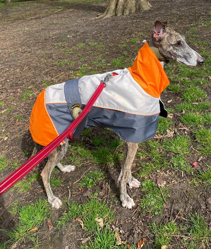 Rain coat for whippets, grey/orange - the waterproof rain coat collection