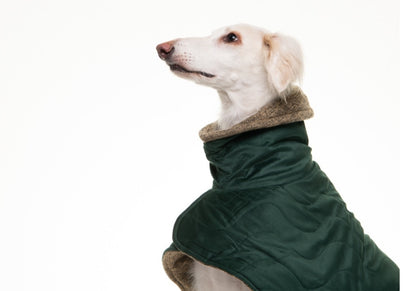 The Emerald velvet knit jacket for greyhounds - the luxury regal collection