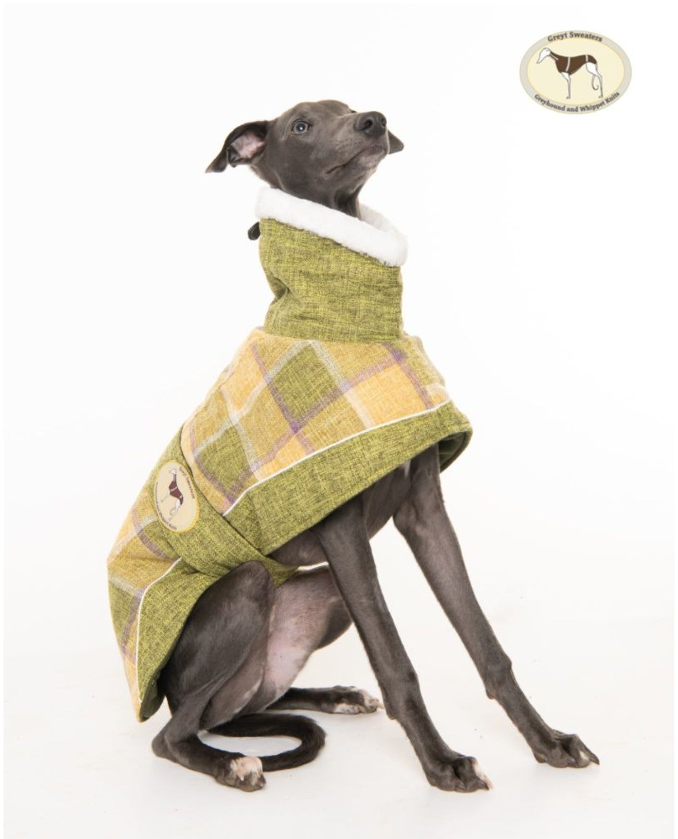 Willow tweed coat for greyhounds - the luxury tweed collection