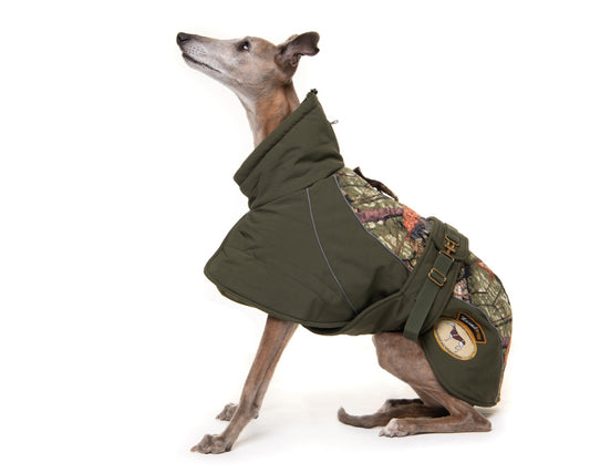 Sage or Brown Soft Shell Luxury Jacket for Whippets