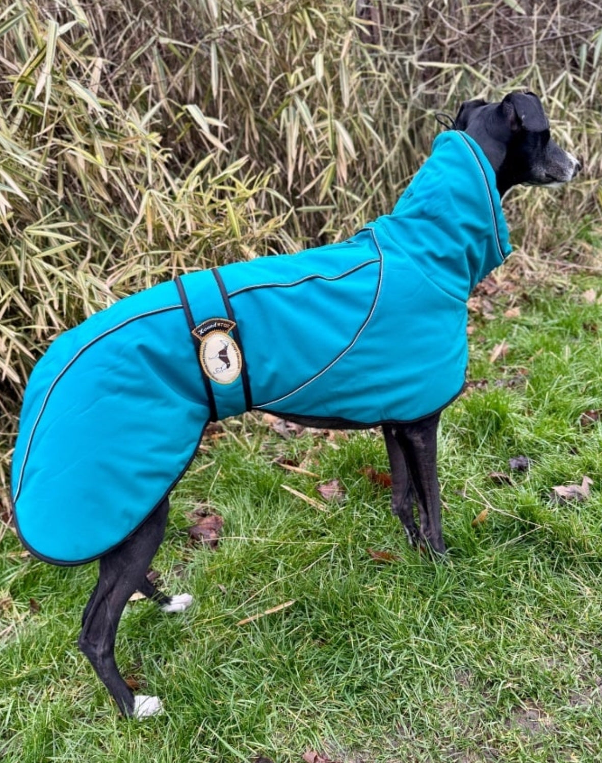 Deep Teal Soft Shell Jacket for Greyhounds - the luxury midweight collection