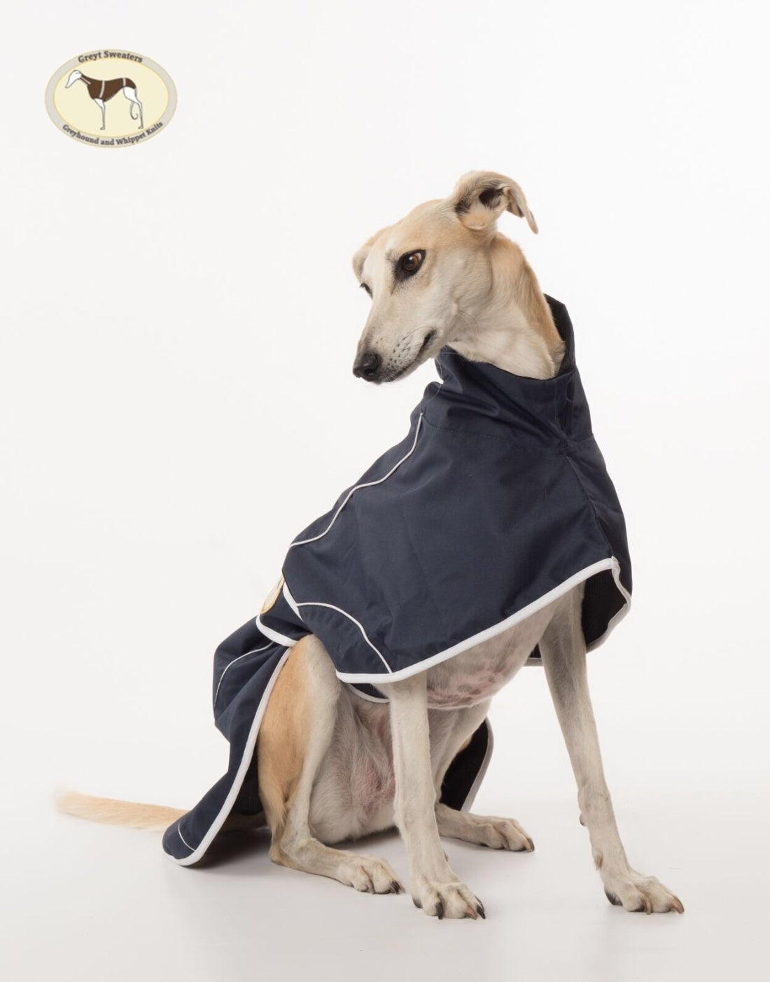 Navy Blue Rain Mac for Whippets - the waterproof rain mac collection