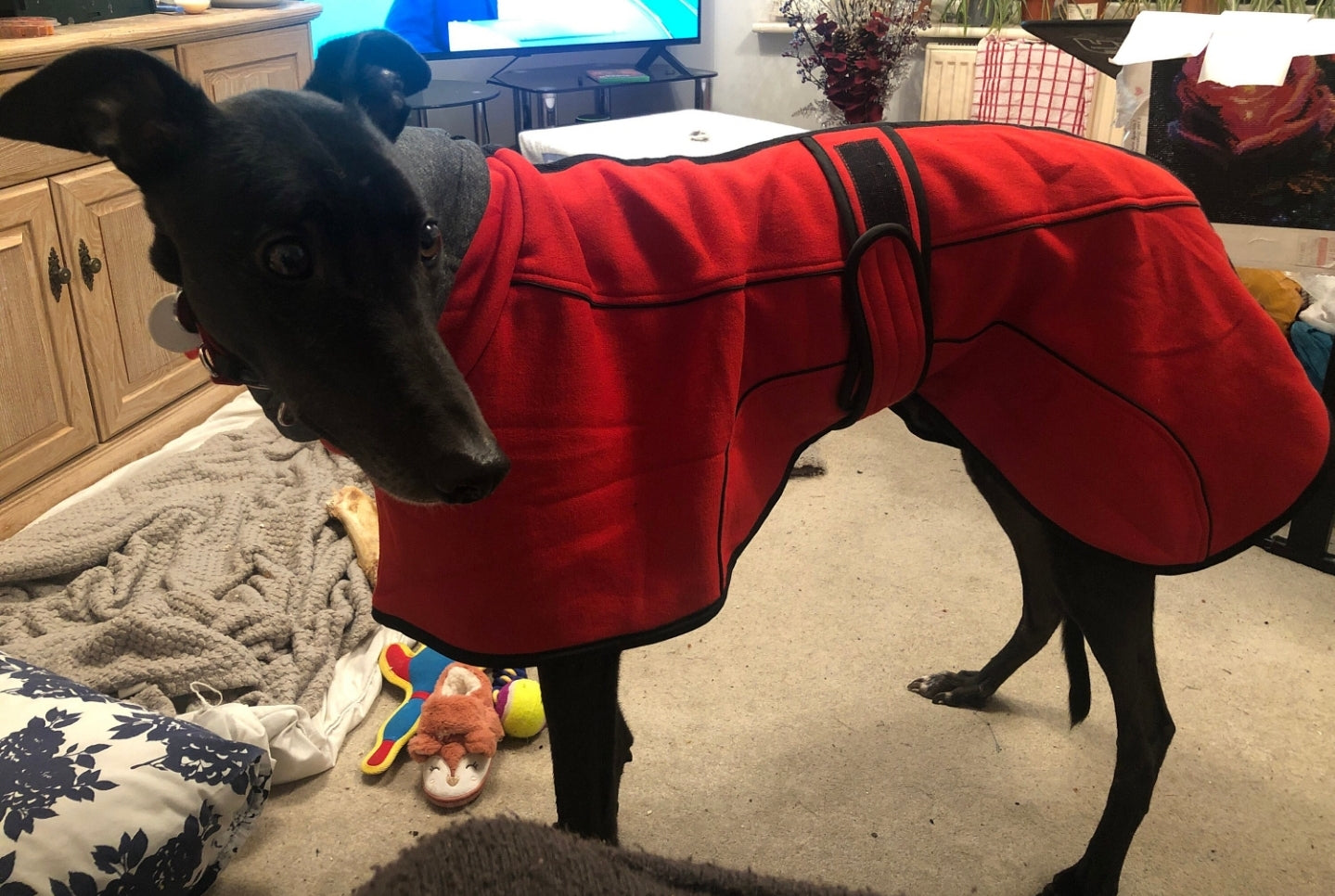 Scarlet Red Jersey Fleece for Greyhounds and whippets - the jersey housecoat collection