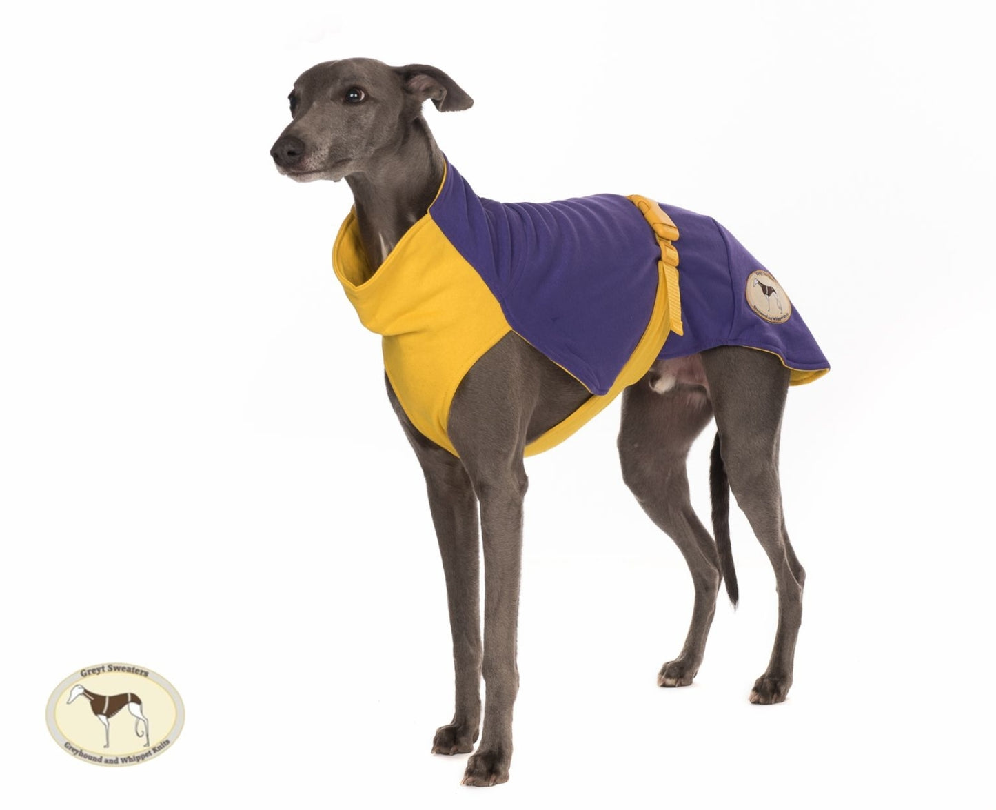 Sweat/Tee shirt for greyhounds, purple+yellow - the sweat tee shirt collection