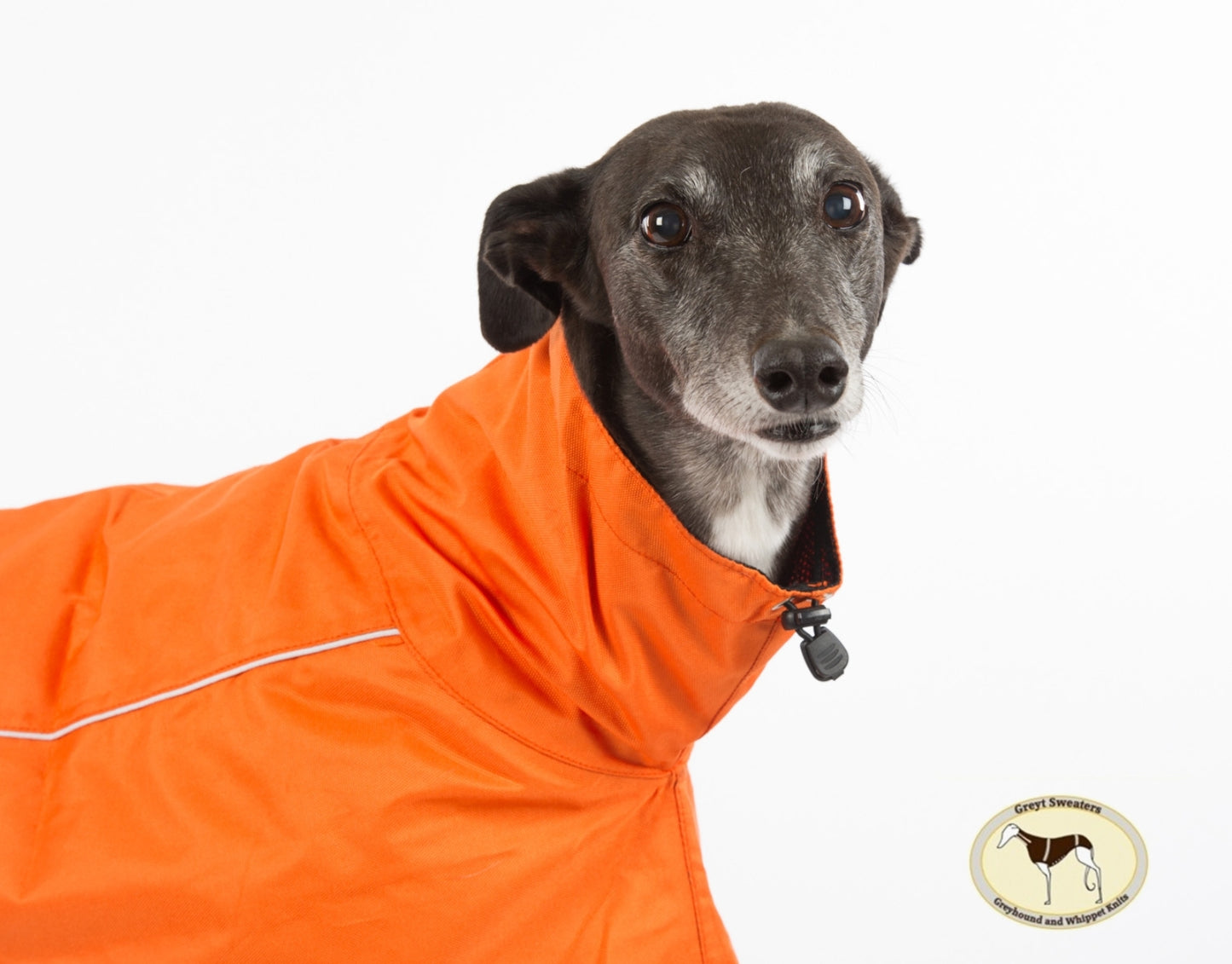 Orange rain mac for greyhounds - the waterproof rain mac collection