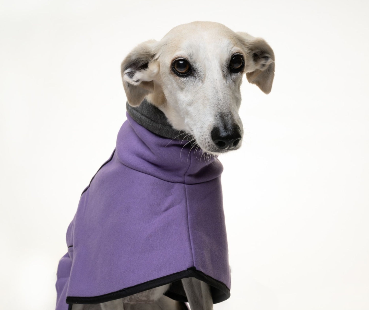 Heather Jersey Housecoat for Greyhounds and whippets - the jersey housecoat collection