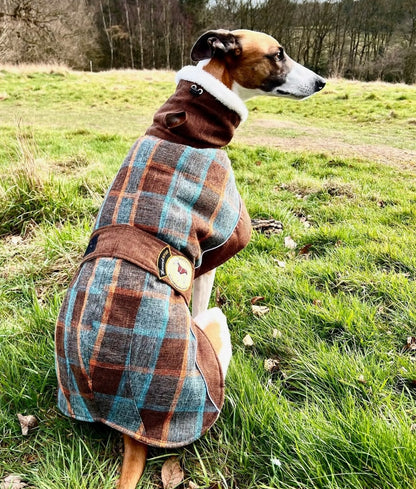 Maple tweed coat for whippets - the luxury tweed collection