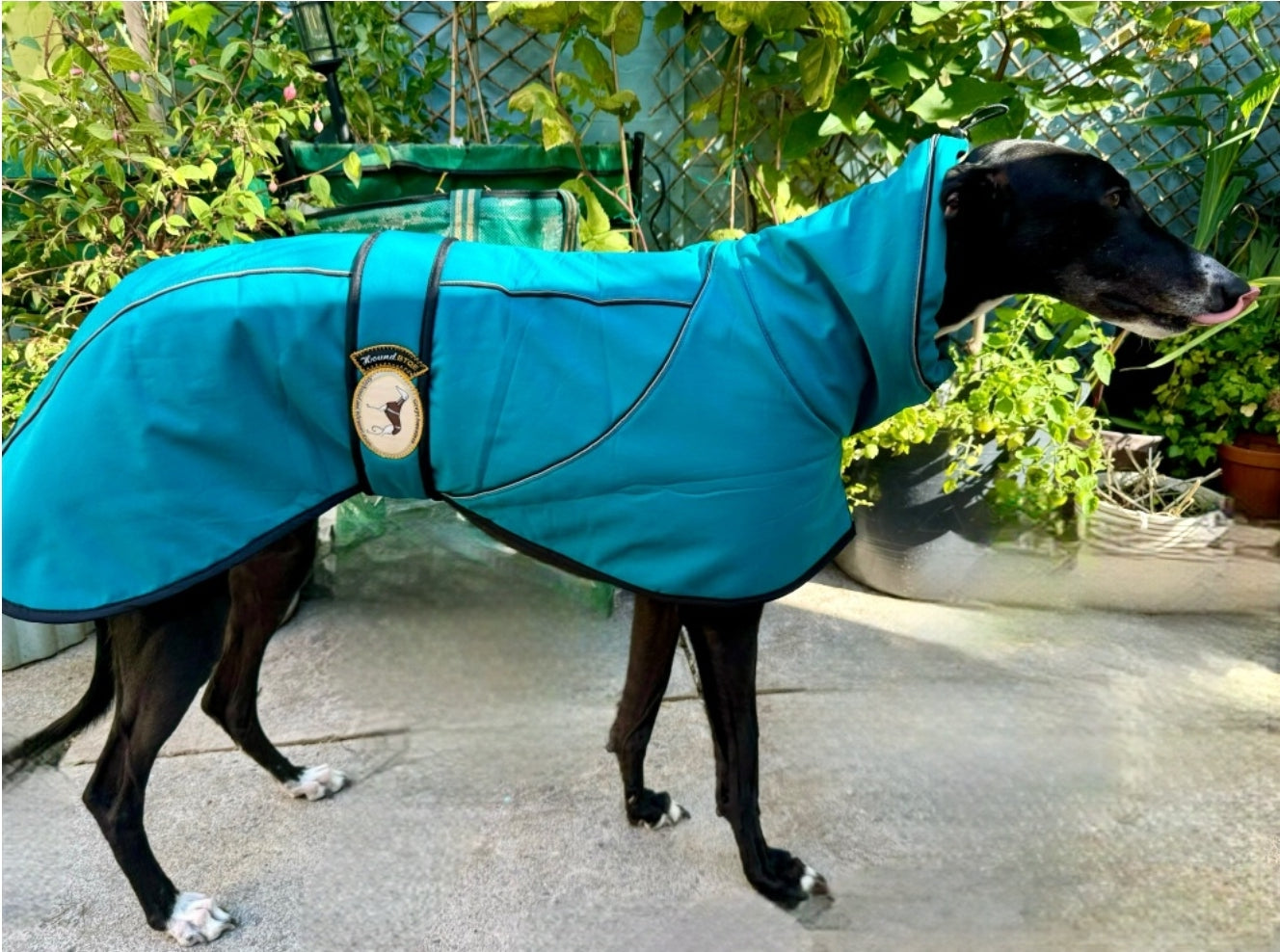 Deep Teal Soft Shell Jacket for Greyhounds - the luxury midweight collection