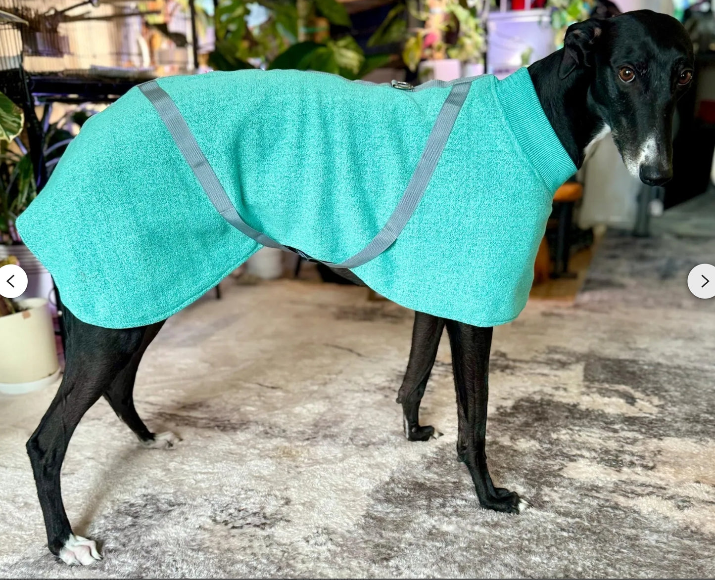 Greyhound Jersey Knit Sweater,housecoat, fully lined,Teal Marl - the lighter layer collection