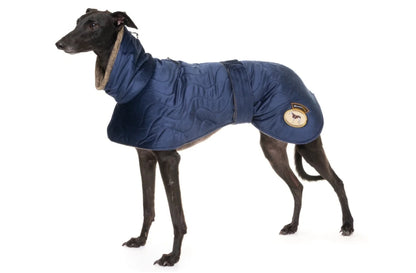 Sapphire velvet knit jacket for greyhounds - the luxury regal collection