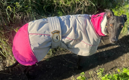 Waterproof Padded Luxury Jacket in pink for greyhounds and whippets - the luxury winter jacket collection