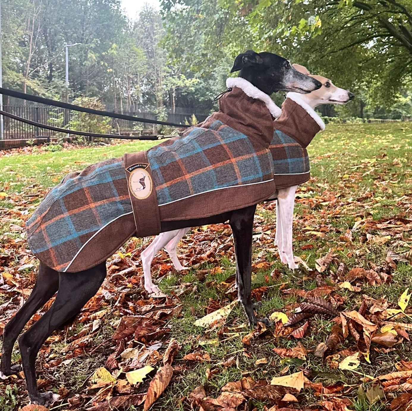 Maple tweed coat for whippets - the luxury tweed collection