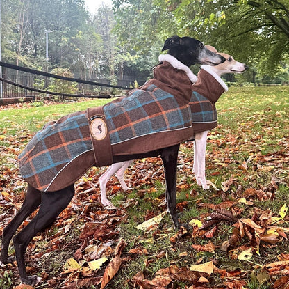 Maple tweed coats for greyhounds--the luxury tweed collection