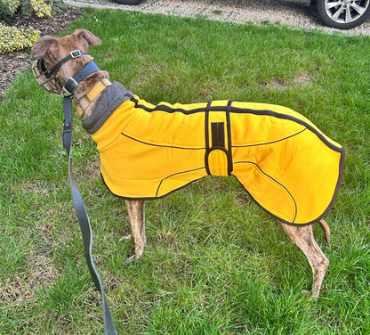 Sunny Yellow Jersey Fleece for Greyhounds - the jersey housecoat collection