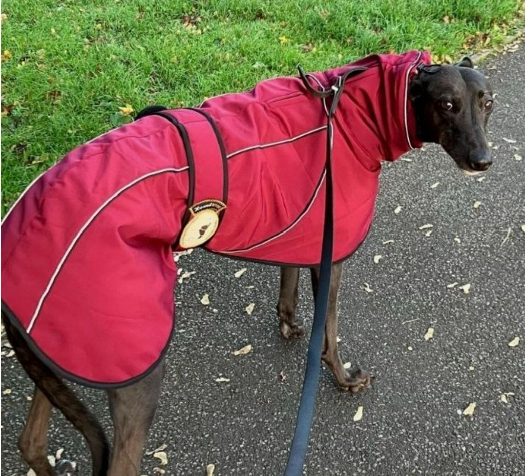 Deep Berry Soft Shell Jacket for Whippets - the luxury midweight collection