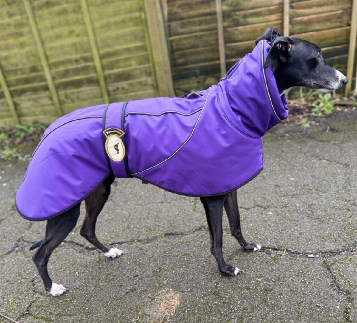 Deep Purple Soft Shell Jacket for Greyhounds - the luxury midweight collection