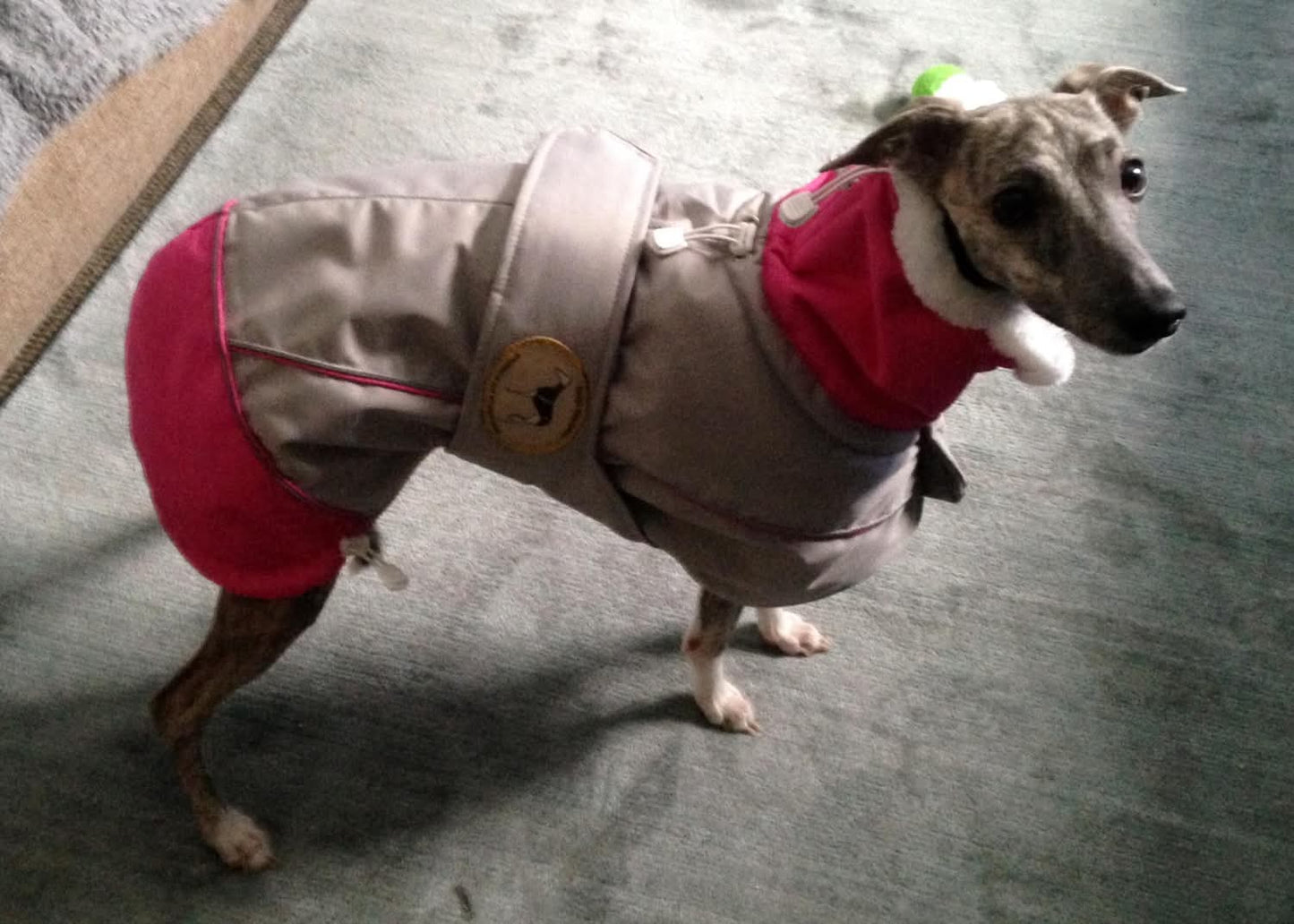 Waterproof Padded Luxury Jacket in pink for greyhounds and whippets - the luxury winter jacket collection