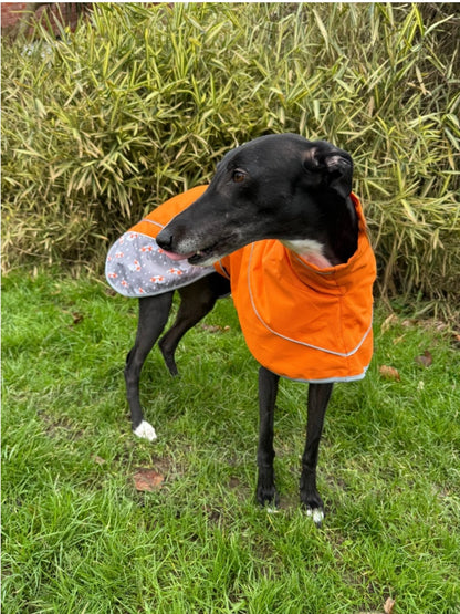 Orange umbrella print rain mac for whippets - the waterproof rain mac collection