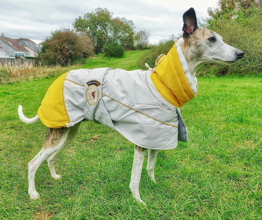 Waterproof Padded Luxury Jacket in yellow for greyhounds and whippets - the luxury winter jacket collection