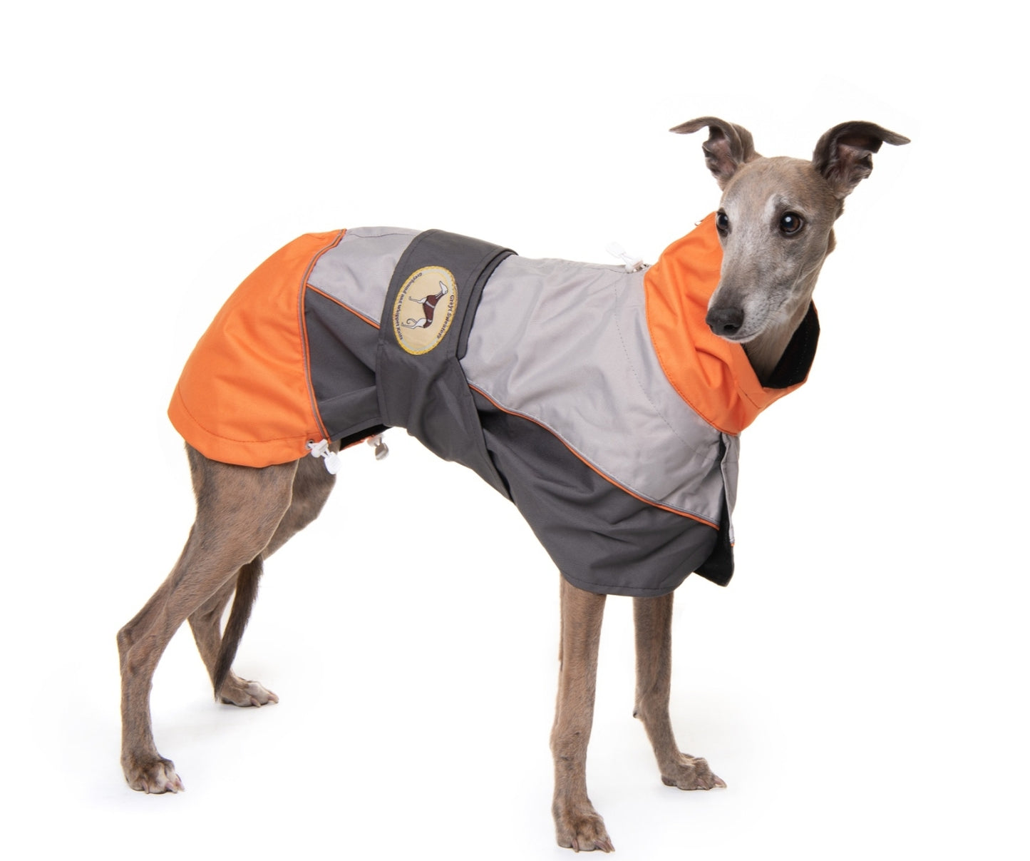 Rain coat for whippets, grey/orange - the waterproof rain coat collection