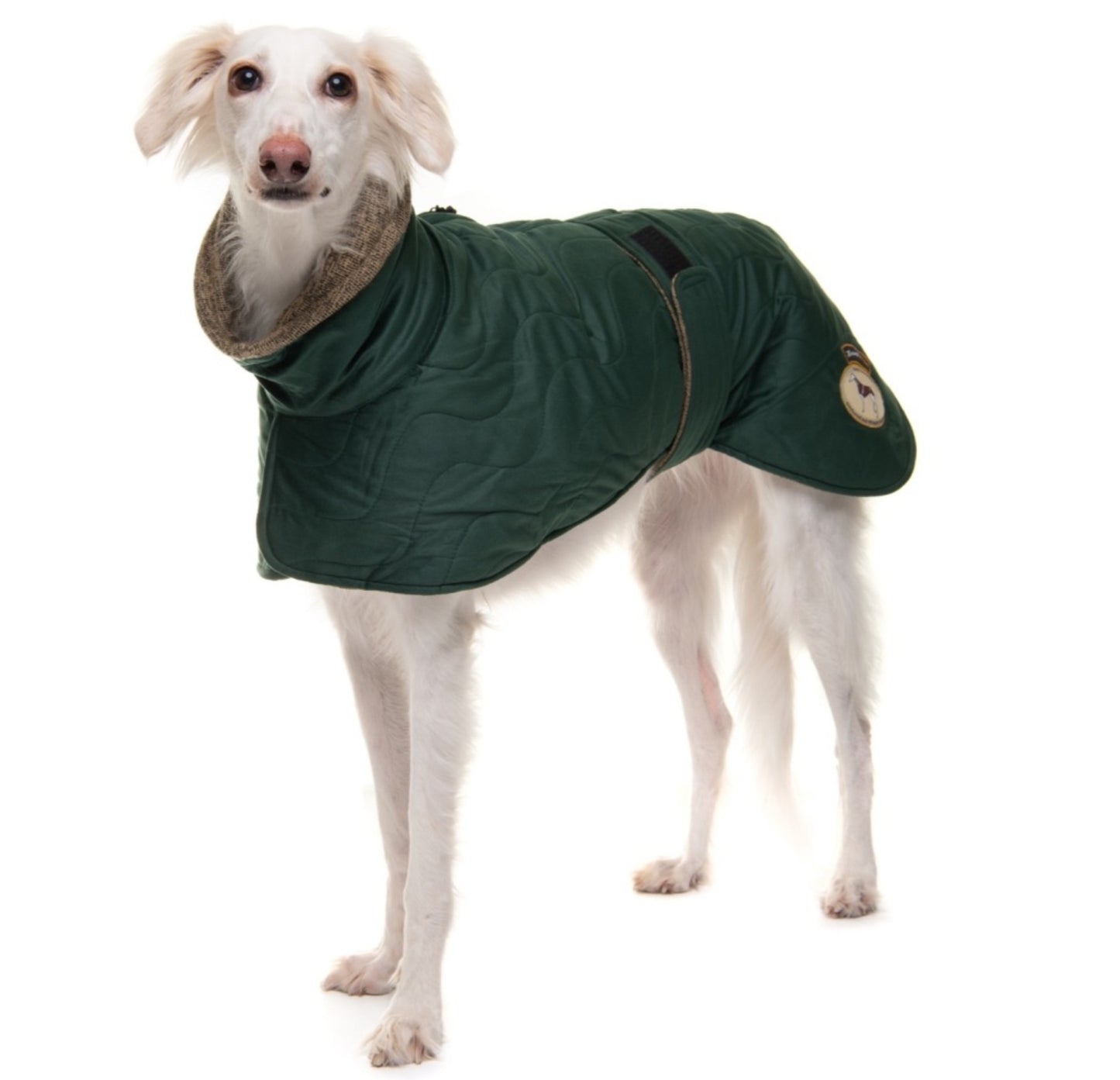 The Emerald velvet knit jacket for greyhounds - the luxury regal collection