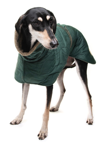 Emerald velvet knit jackets for whippets - the luxury regal collection