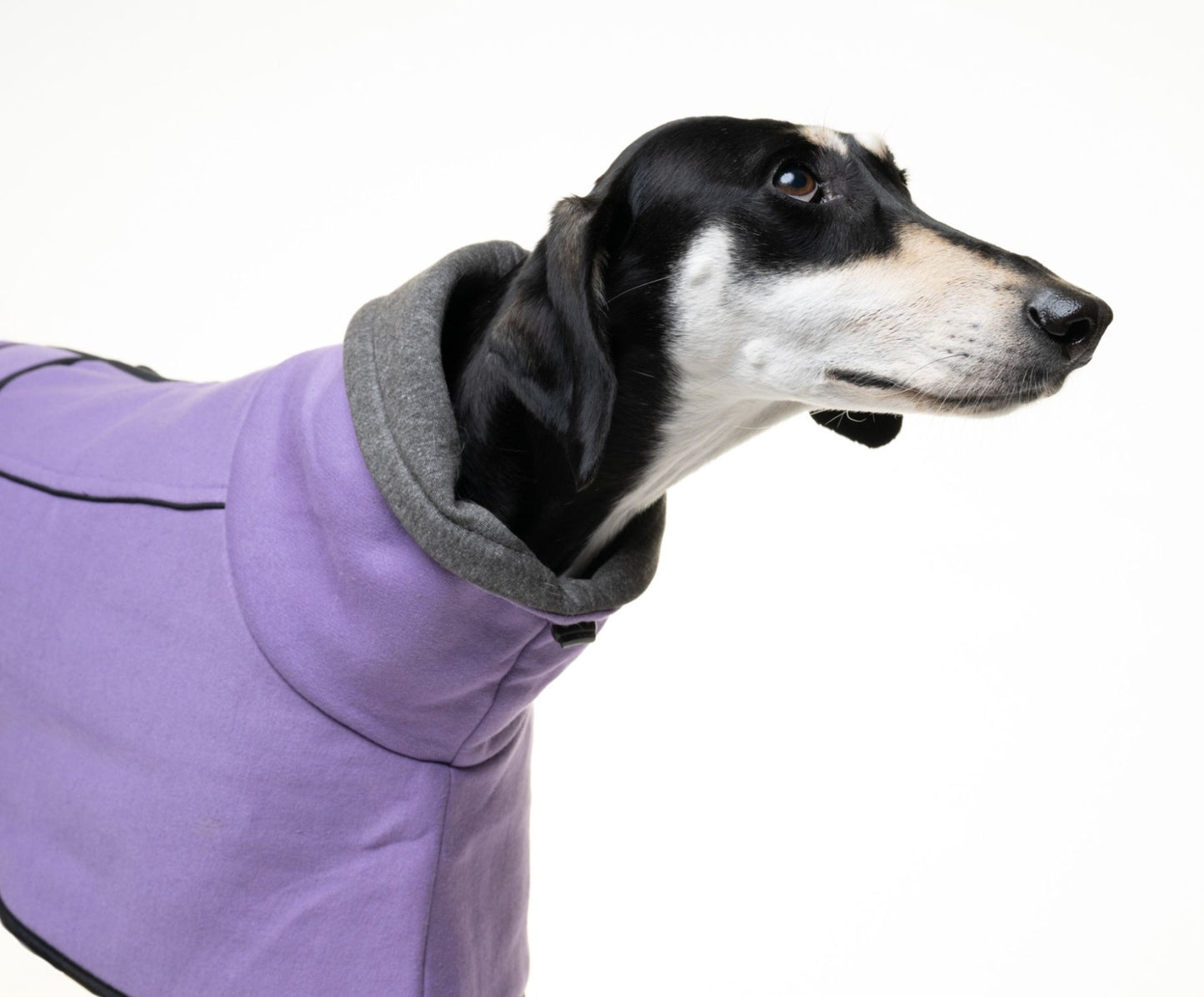 Heather Jersey Housecoat for Greyhounds and whippets - the jersey housecoat collection