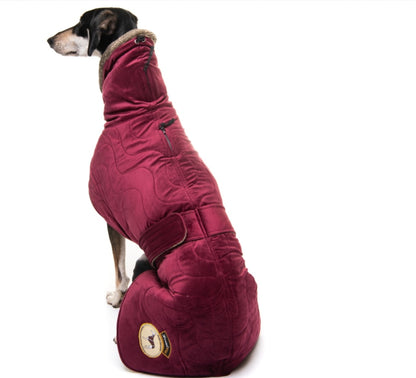 Ruby velvet knit jacket for greyhounds - the luxury regal collection