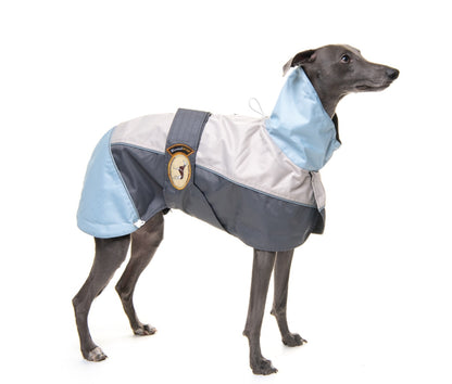 Rain coat for whippets grey/powder blue - the waterproof rain coat collection