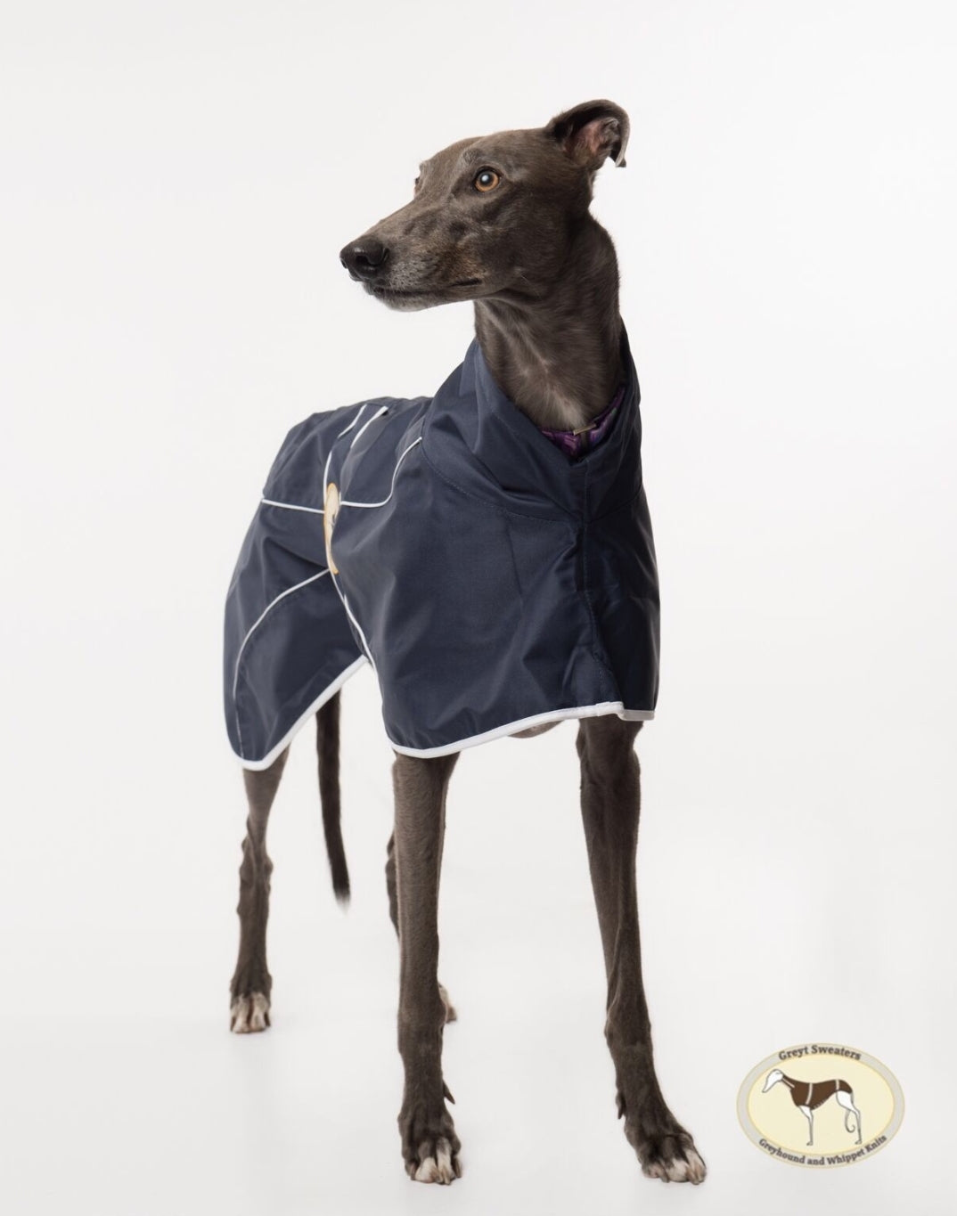 Navy Blue Rain Mac for Whippets - the waterproof rain mac collection