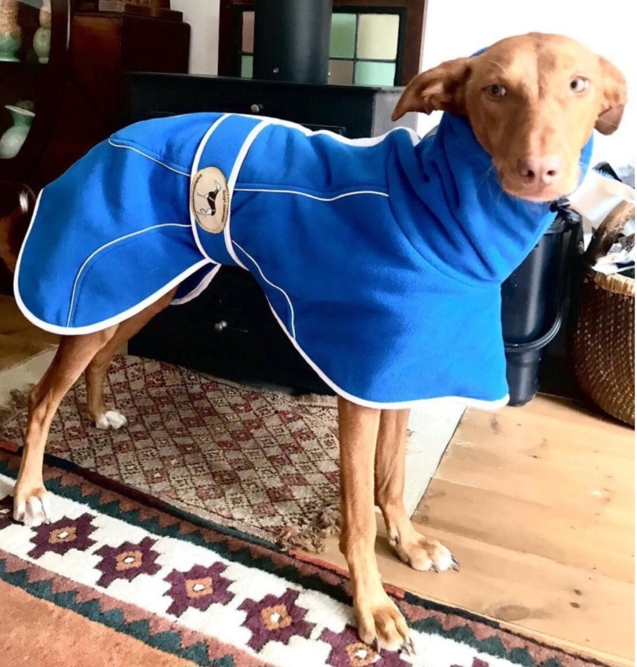 Royal Blue Fleece Housecoat for Greyhounds and whippets - the fleece housecoat collection