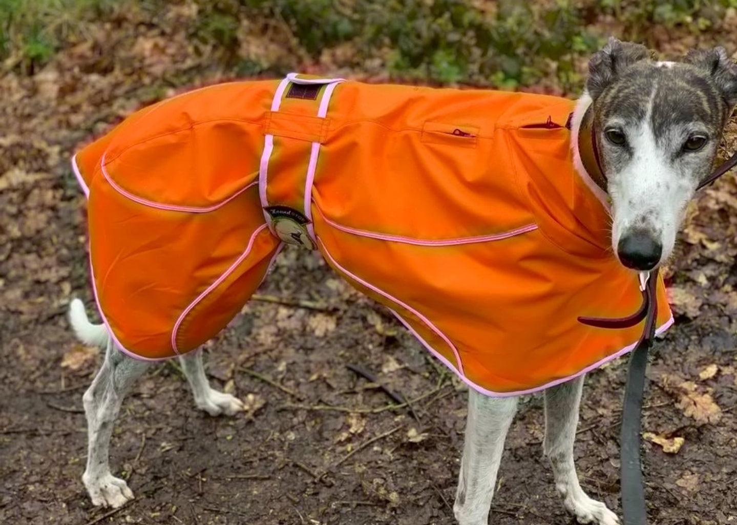 Orange rain mac for greyhounds - the waterproof rain mac collection