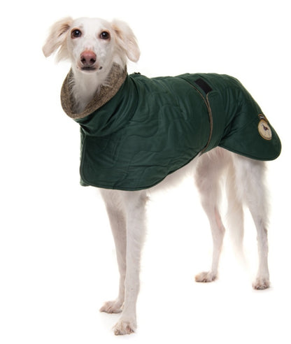 Emerald velvet knit jackets for whippets - the luxury regal collection