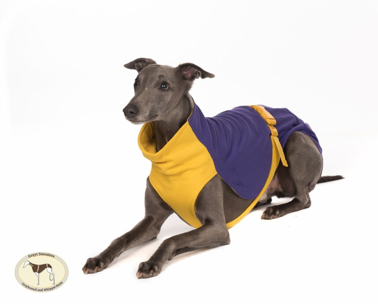 Sweat/Tee shirt for greyhounds, purple+yellow - the sweat tee shirt collection