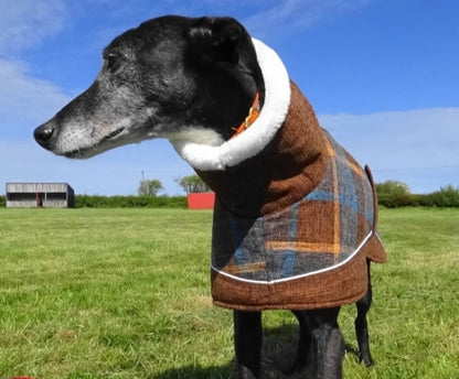 Maple tweed coat for whippets - the luxury tweed collection